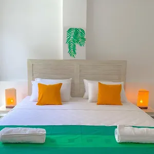 Vibe Auberge de jeunesse